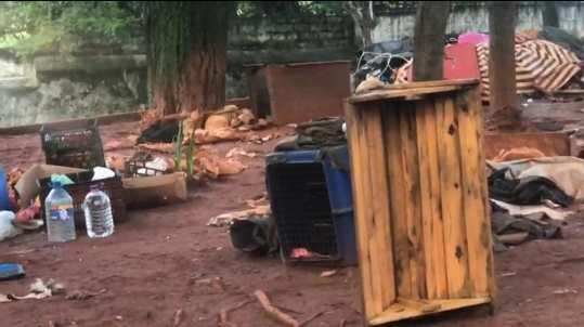 Grupo aciona MP denunciando maus-tratos de animais na Vila Mariana