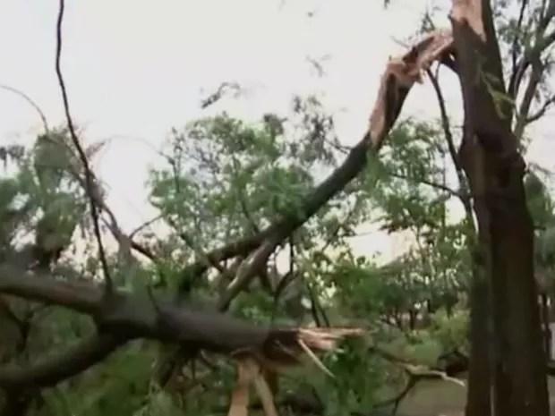 Galhos de árvores caíram e danificaram a rede de energia elétrica (Foto: Reprodução / TV TEM)