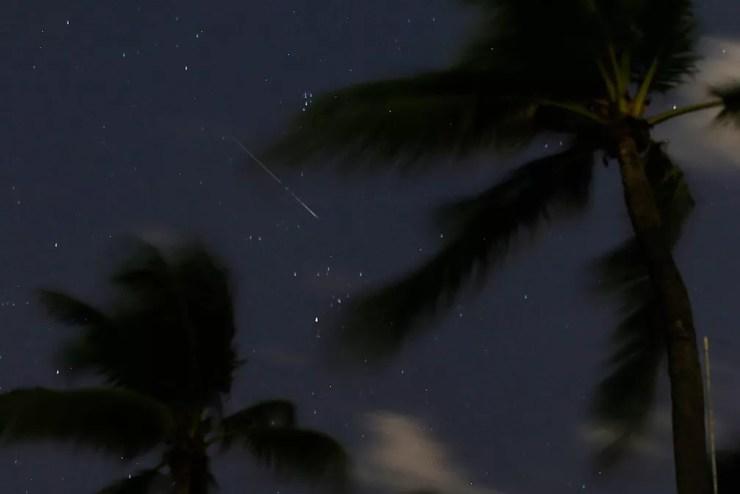 Risco no céu é visto entre palmeiras em Bal Harbour, na Flórida (EUA), durante a chuva de meteoros Perseidas (Foto: Wilfredo Lee/AP)