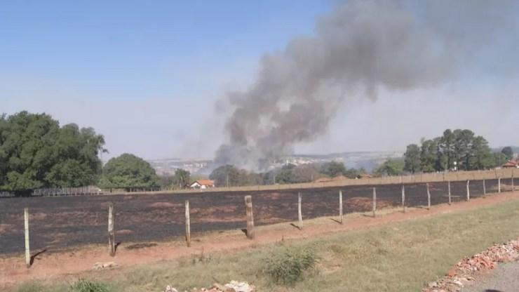 Incêndio se alastrou rapidamente em Guapiaçu (Foto: Reprodução/TV TEM)