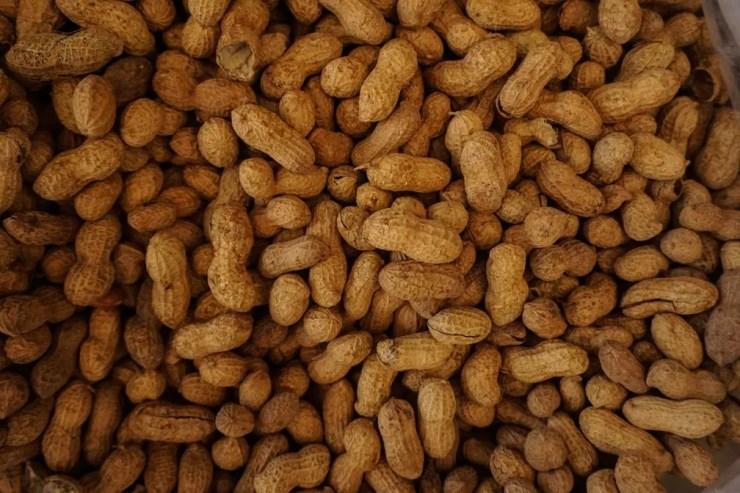 Taxa de indivíduos alérgicos a amendoim cresceu no Reino Unido entre 1995 e 2016 — Foto: Unsplash