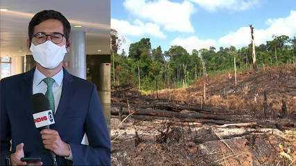 Ministério do Meio Ambiente suspende operações contra desmatamento e queimadas