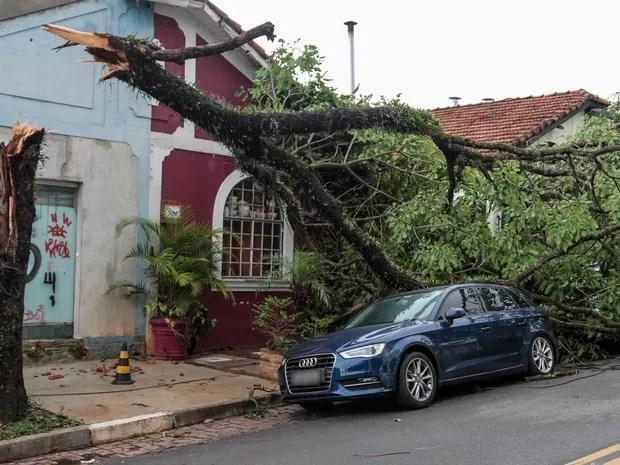 Árvore quebra e cai sobre carro na Zona Oeste de SP após temporal desta quinta (20) (Foto: Marivaldo Oliveira/Código19/Estadão Conteúdo)