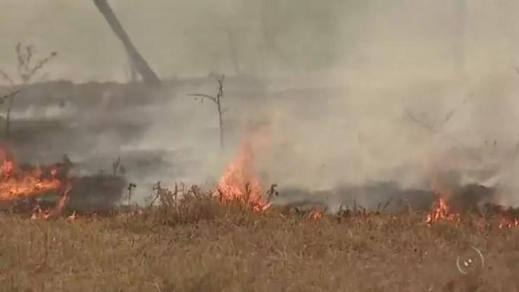 Fogo em Buritama atingiu fazendas e áreas de preservação (Foto: Reprodução/TV Tem)
