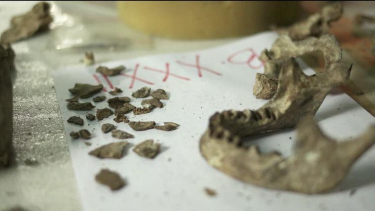 Pesquisadores podem ter encontrado pedaço do fóssil de Luzia