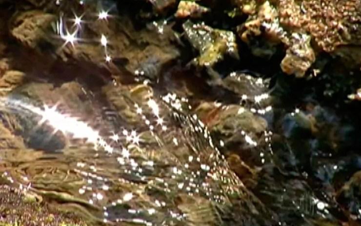 Rio Tietê é considerado bom no trecho de  Birita-Mirim, Salesópolis (Foto: Reprodução/ TV Diário)