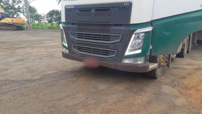 Caminhão foi abordado na BR-153, em Bady Bassitt (SP) — Foto: PRF/Divulgação