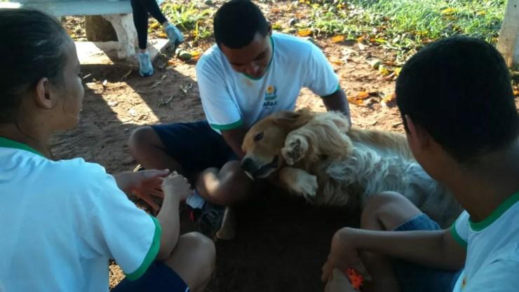 Aulas com os cães são realizadas uma vez por semana com grupos de 8 a 12 alunos em Bauru (Foto: Divulgação)