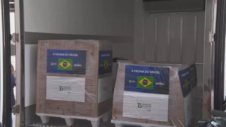 800 mil doses da Coronavac liberadas pelo governo de SP ao Ministério da Saúde nesta quarta-feira (14). — Foto: Reprodução/TV Globo 