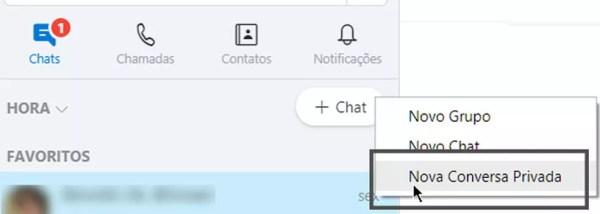Para iniciar uma conversa privada, é preciso clicar no botão '+ Chat' e depois na opção 'Nova Conversa Privada'. (Foto: Reprodução/G1)