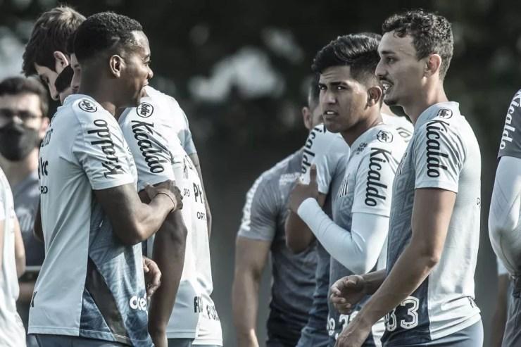Robinho chegou a treinar com jogadores do Santos — Foto: Ivan Storti/Santos FC