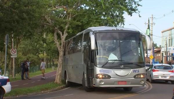 Ônibus ficou preso em árvore na avenida Lino José Seixas (Foto: Reprodução/TV TEM)