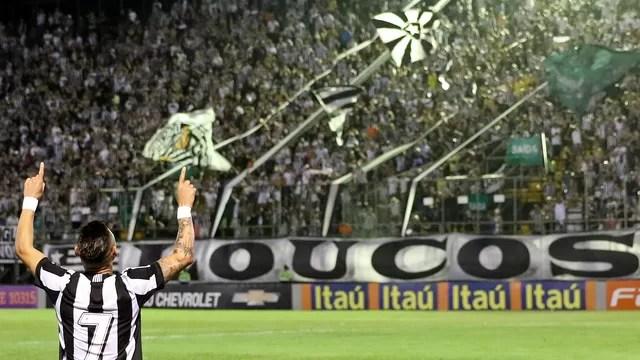 Botafogo vence e Palmeiras vê ponta escapar Acompanhe a tabela