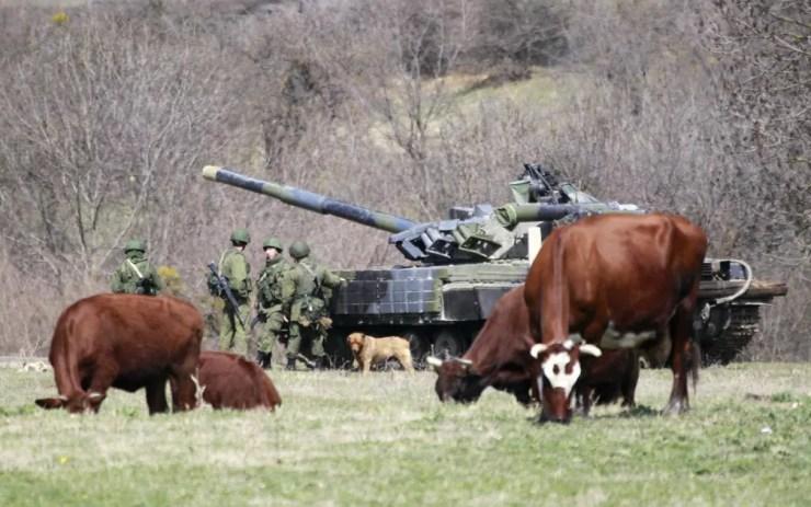 Vacas pastam perto de um tanque e militares supostamente russos, em frente a uma base militar em Perevalnoye, perto de Simferopol, na Crimeia — Foto: Shamil Zhumatov/Reuters