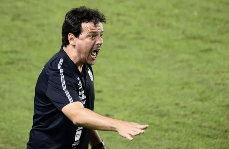 Fernando Diniz não ficará na área técnica em Santos x Athletico — Foto: Marcos Ribolli