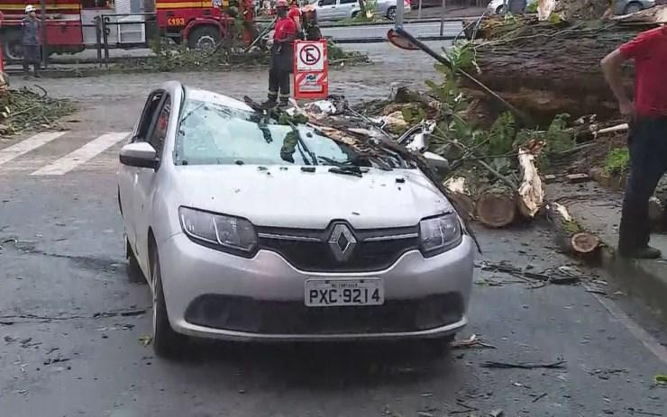 Carros foram atingidos por árvores na Savassi, em Belo Horizonte, durante temporal na noite de quinta-feira (6) — Foto: Reprodução/TV Globo