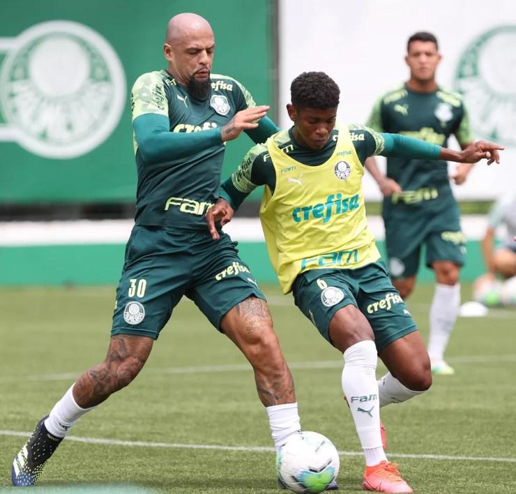 Felipe Melo e Robinho, durante treino do Palmeiras — Foto: Cesar Greco / Ag. Palmeiras