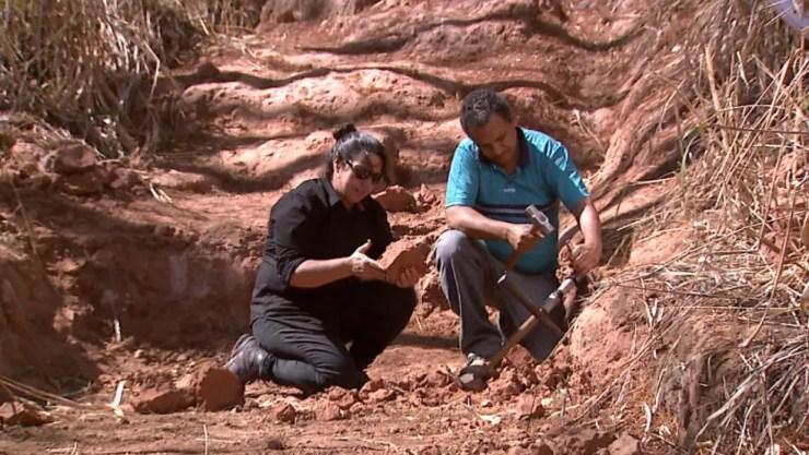 Descoberta de fóssil revelou ponto de escavação na zona rural de Monte Alto, SP (Foto: Reprodução/EPTV)