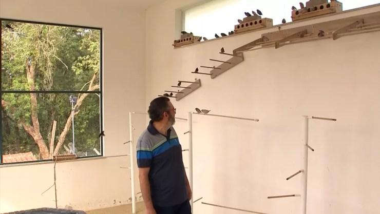 Criador de Araçoiaba da Serra tem mais de 400 pássaros da espécie (Foto: Reprodução/TV TEM )