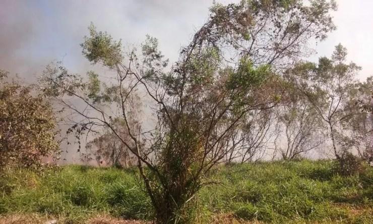 Suspeita é de que fogo tenha sido provocado intencionalmente, segundo a GCM (Foto: Prefeitura de Araçoiaba da Serra/Divulgação)