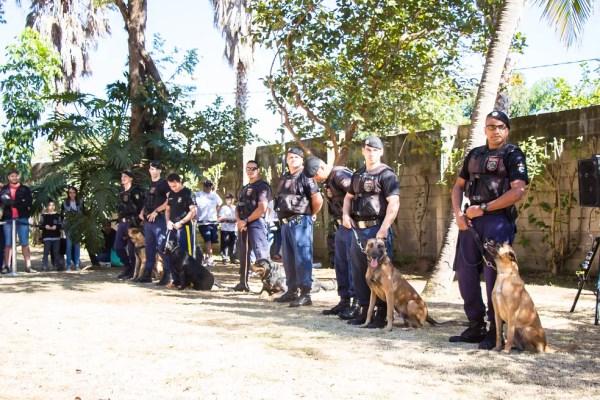 Cães da Guarda Municipal de Jundiaí marcam presença no Estimacão (Foto: TV TEM)
