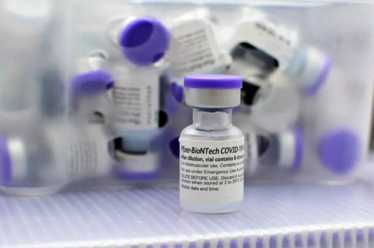 Imunizante da Pfizer-BioNTech contra Covid-19, único já autorizado pela Anvisa para ser aplicado em jovens de 12 a 17 anos. — Foto: Carla Cleto