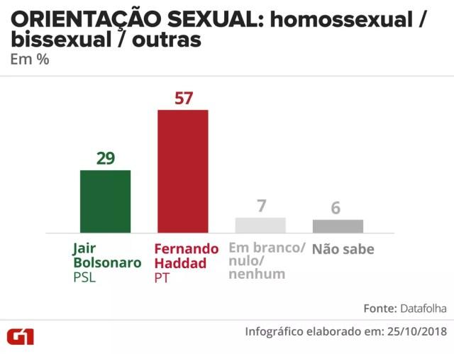 Pesquisa Datafolha - 25 de outubro - intenção de voto por segmentos - orientação sexual: homossexual / bissexual / outras — Foto: Arte/G1