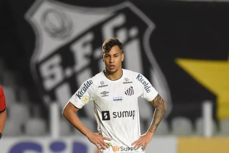 Kaio Jorge, atacante do Santos — Foto: Ivan Storti/Santos FC