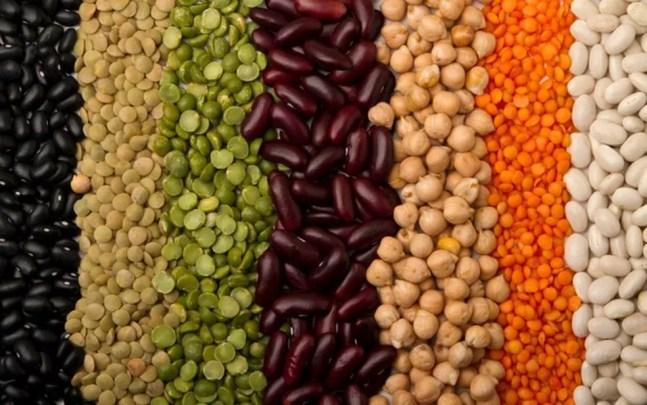 Porções variam de acordo com dieta, já que vegetariana e vegana demandam maior aporte de proteína vegetal, mas leguminosas devem estar presentes na alimentação — Foto: Getty Images