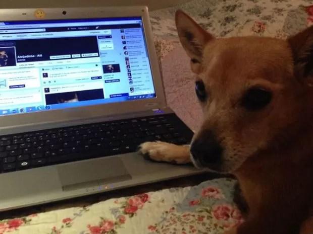 Dona mantém página em rede social da cadela de estimação (Foto: Patrícia Alcoléa/Arquivo pessoal)