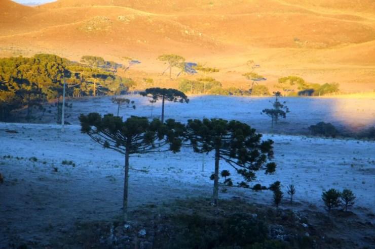 São Joaquim costuma ficar com paisagens brancas no inverno, como nesta sexta (21) (Foto: Mycchel Hudsonn Legnaghi/São Joaquim Online)