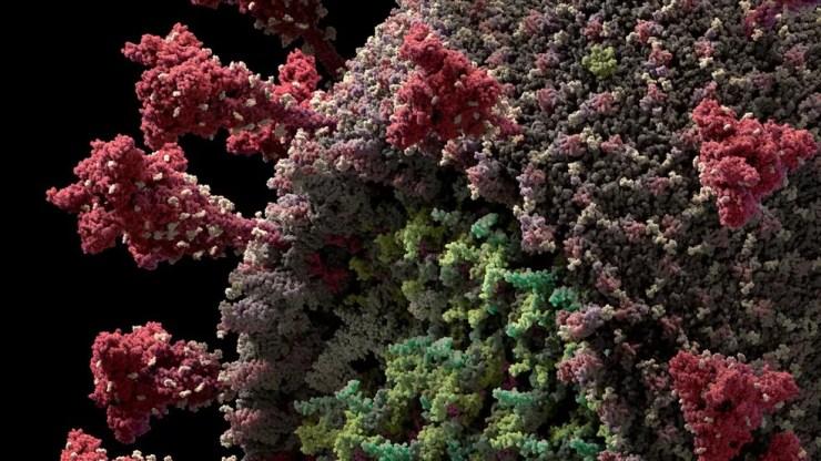 Reprodução em 3D do modelo do novo coronavírus (Sars-CoV-2) criada pela Visual Science — Foto: Visual Science/Reprodução