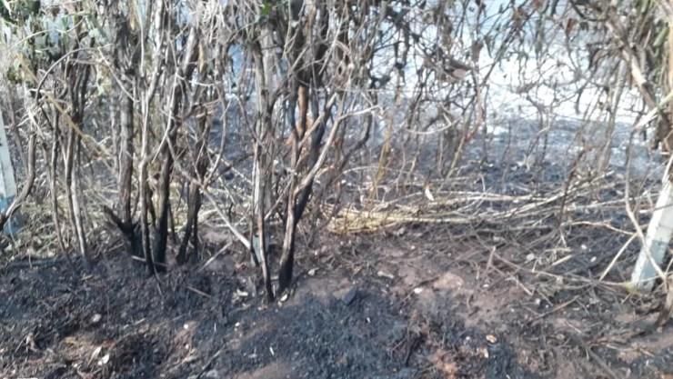 Incêndio atingiu área de mata em Marília e assustou os moradores  (Foto: Simone Ferreira / Arquivo pessoal )
