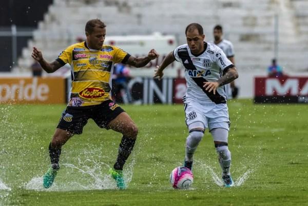 Novorizontino segue na disputa do Campeonato Paulista (Foto: Fabio Leoni / Ponte Press)