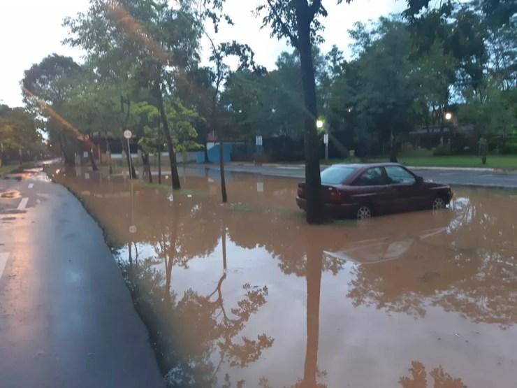 Região da Rua do Porto teve alagamentos após nível do Rio Piracicaba subir com chuvas, 5 de janeiro de 2019 — Foto: Edijan Del Santo/EPTV