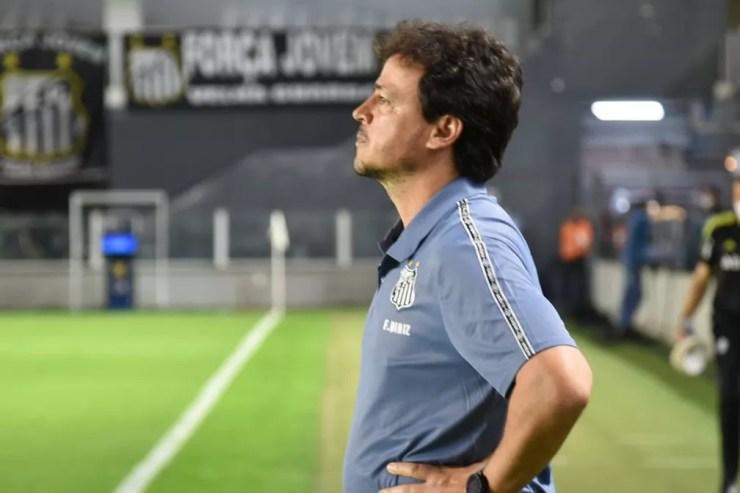 Fernando Diniz precisará consertar falhas defensivas que persistem no Santos — Foto: Ivan Storti/Santos FC