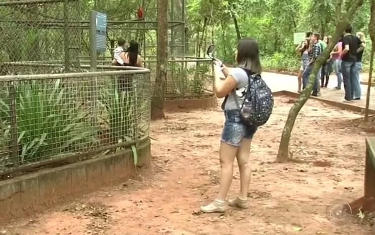 Zoológico recebe mais de 40 mil pessoas por ano (Foto: Reprodução/TV TEM)