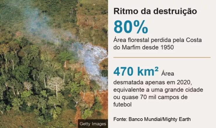 Ritmo da destruição da área florestal na Costa do Marfim — Foto: Banco Mundial/Mighty Earth/BBC