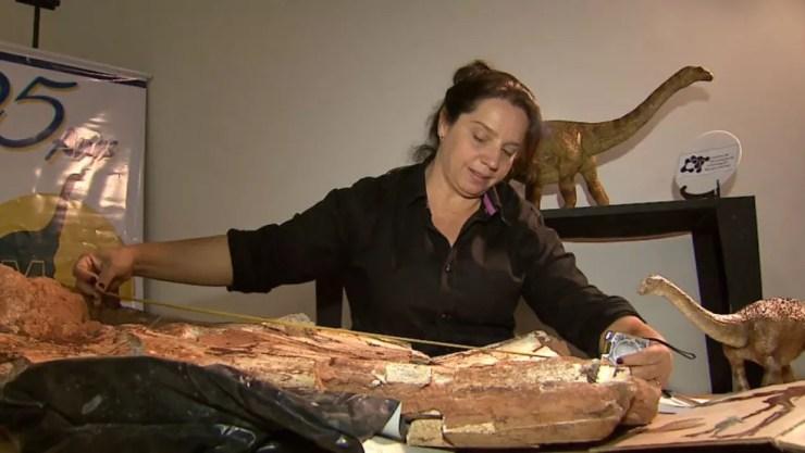 A paleontóloga e diretora de museu em Monte Alto, Sandra Tavares (Foto: Reprodução/EPTV)