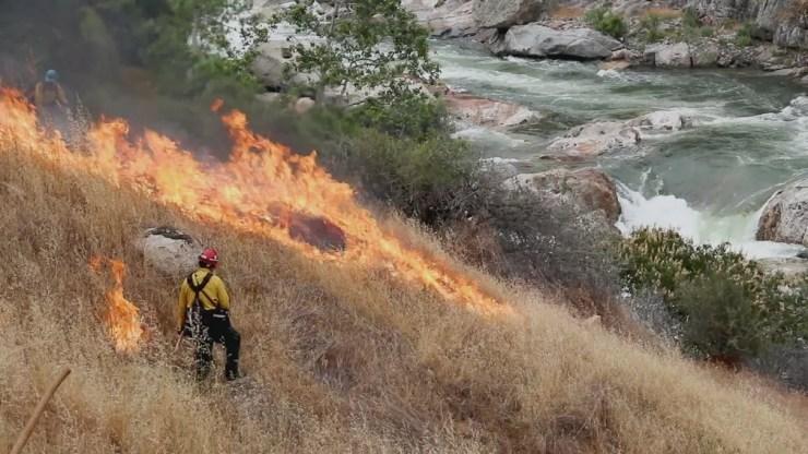 Em áreas de preservação, a patrulha da floresta faz incêndios controlados — Foto: Globo Repórter/ Reprodução