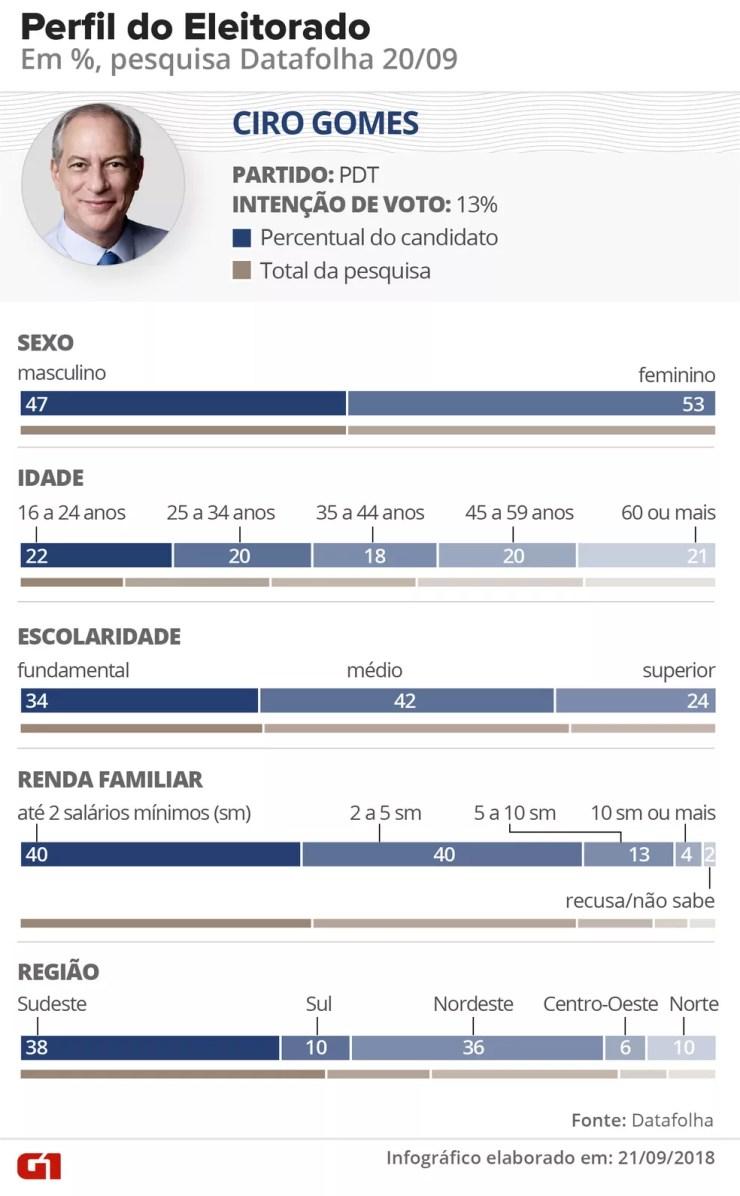 Pesquisa Datafolha - Perfil do eleitorado de Ciro Gomes, conforme divisão dentro das faixas de gênero, idade, escolaridade, renda e região — Foto: Arte / G1