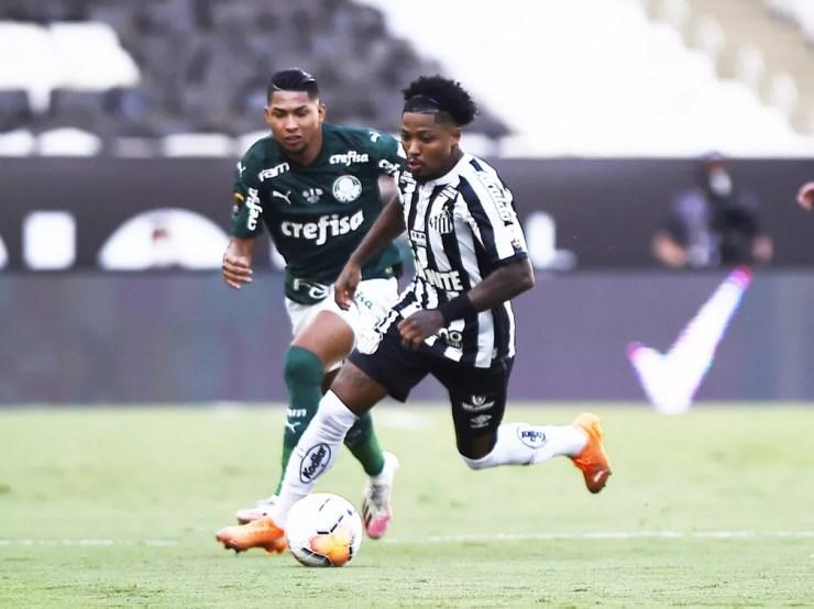 Rony e Marinho Palmeiras x Santos Libertadores — Foto: André Durão