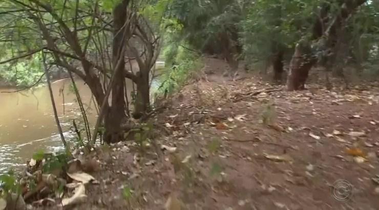 Menino que morreu em Maracaí morava em região próxima a mata e rio, habitada por capivara, a hospedeira do carrapato estrela (Foto: TV TEM/Reprodução)
