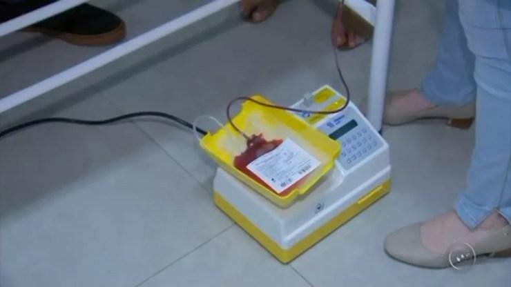 Banco Sangue Pet Bauru (Foto: Reprodução/TV TEM)