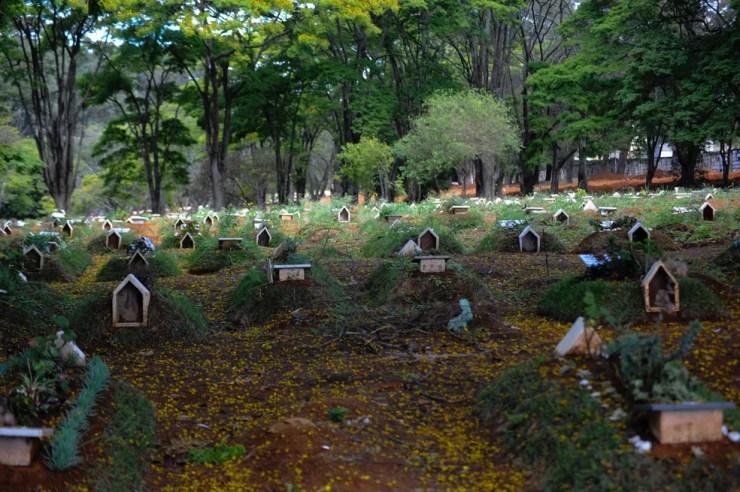 Movimentação no Cemitério da Vila Formosa na Zona Leste de São Paulo (SP), nesta terça-feira (25 de agosto) durante pandemia de Covid-19. — Foto: Mauro Borges/Estadão Conteúdo