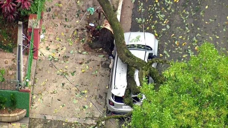 Rua Maria Figueiredo, na Bela Vista, uma árvore chegou a cair sobre um carro — Foto: Reprodução TV Globo
