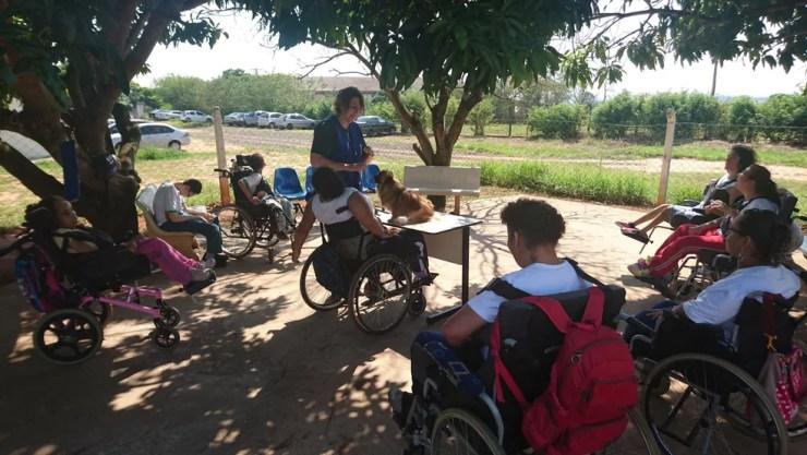 Silvia (ao centro) incentiva os alunos a tocar, brincar e interagir com o cão voluntário (Foto: Tiago de Moraes / G1)