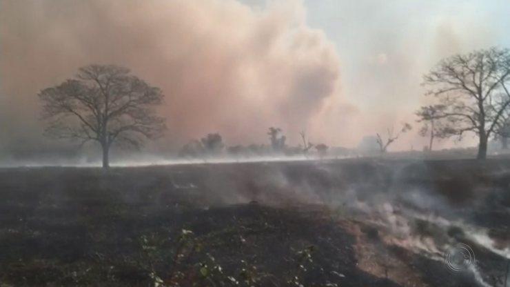 Incêndio atinge fazenda e reserva de mata nativa na região de Bauru