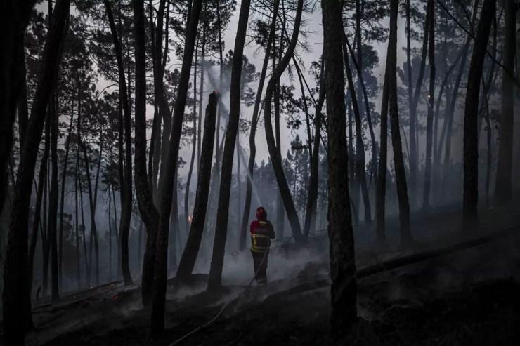 Bombeiro apaga incêndio em floresta de Portugal — Foto: PATRICIA DE MELO MOREIRA / AFP