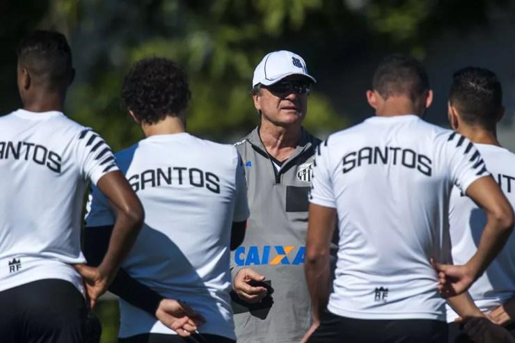 Santos tem dois jogos seguidos em casa para embalar (Foto: Ivan Storti/ Santos FC)